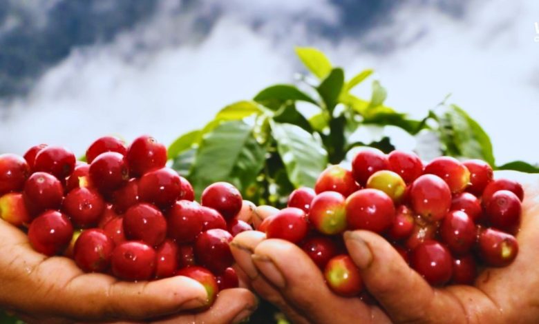 Día del Café Peruano