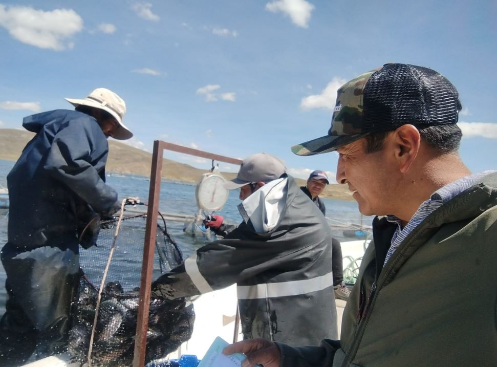 Trucha de Puno, la más requerida en los mercados del sur del Perú por su alta calidad y valor nutricional