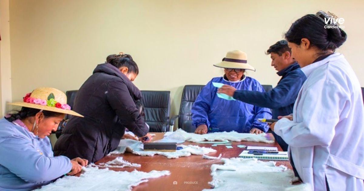 Artesanos y emprendedores textiles fortalecen sus habilidades en CITEtextil Camélidos Puno