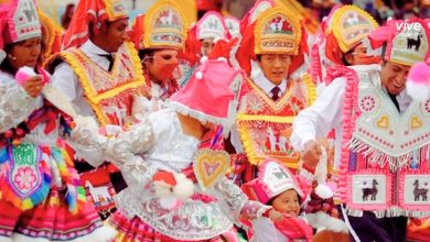 Llamerada Puneña: El latido ancestral del Altiplano