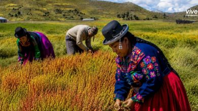 Día del Campesino en Puno: tradición, Qoqawi y homenaje al alma de la tierra