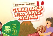 Escolares, agricultores e investigadores podrán convertirse en Guardianes de las Papas Nativas del Perú