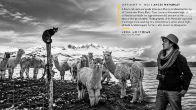 National Geographic destaca fotografía de Uriel Montúfar captada en Cojata, Puno