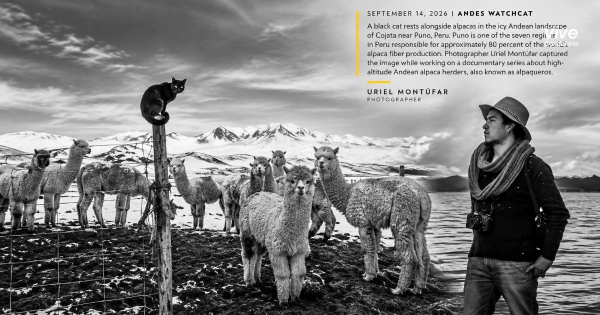 National Geographic destaca fotografía de Uriel Montúfar captada en Cojata, Puno