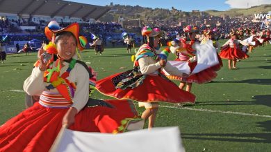 Candelaria 2027: orden de presentación de danzas originarias